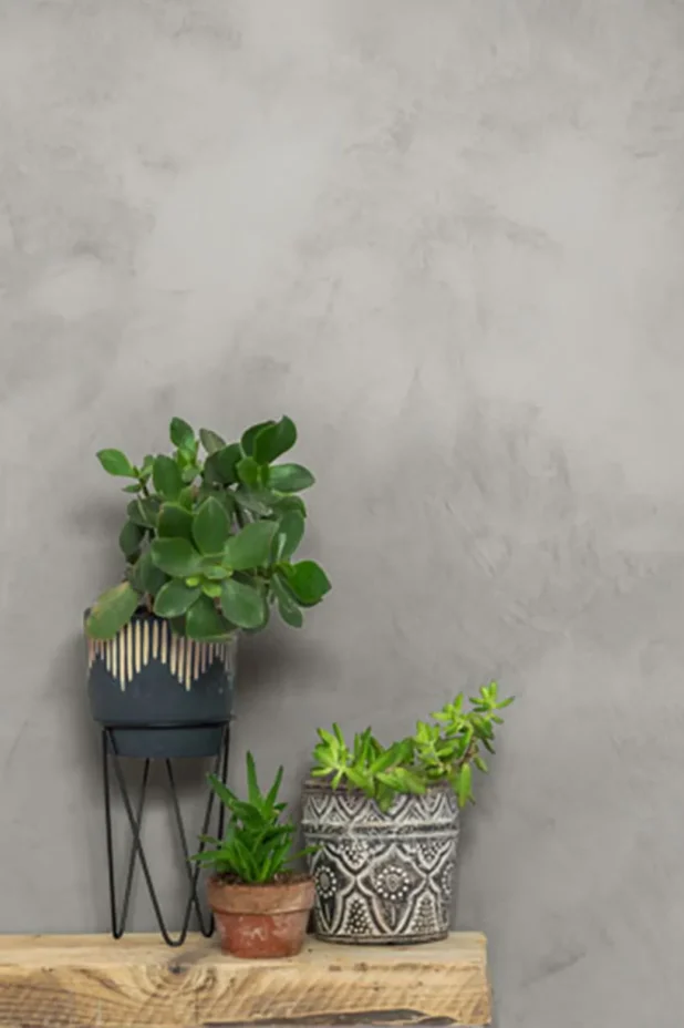 What-are-the-types-of-microcement.webp